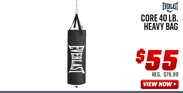 Everlast Everlast Core 40 lb. Heavy Bag