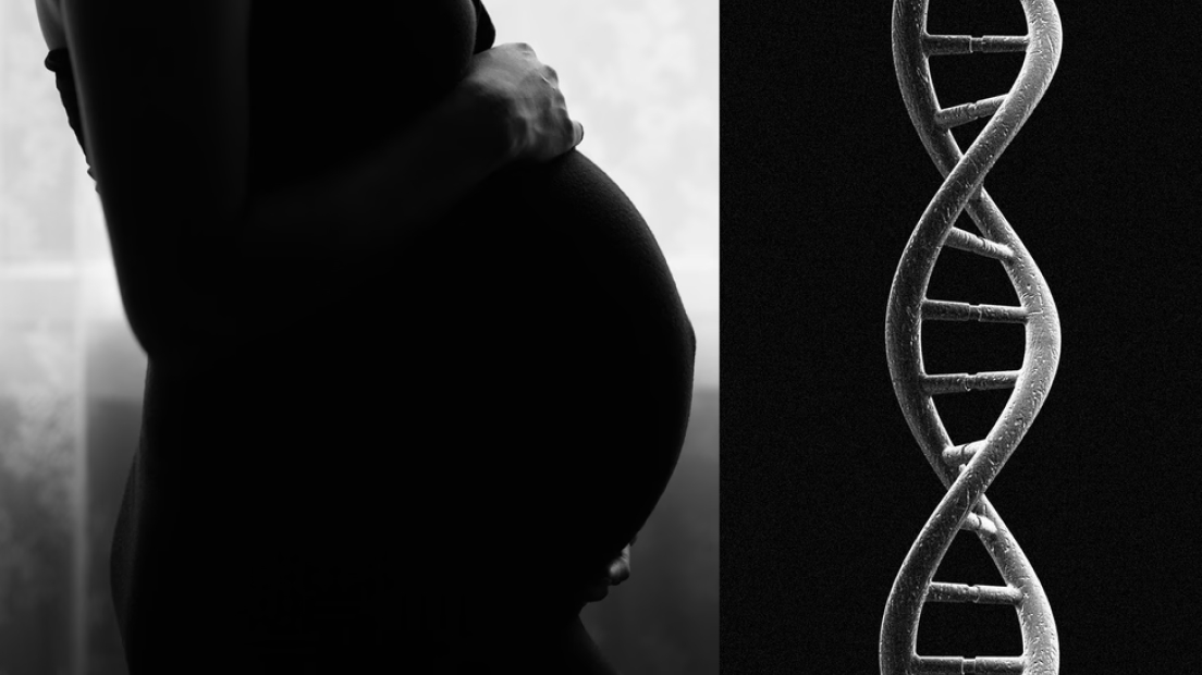 a black and white image of a pregnant belly, next to a DNA helix