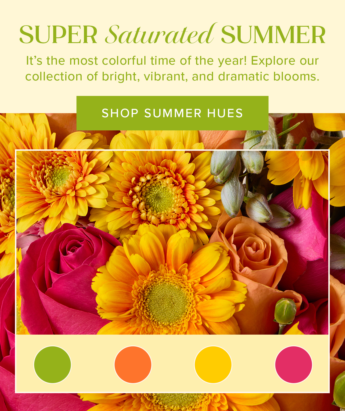 Make it a Super Saturated Summer! It's the most colorful time of the year! Explore our collection of bright, vibrant, and dramatic blooms. SHOP SUMMER HUES
