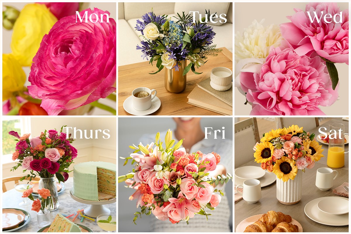 Send flowers Monday through Saturday for any celebration. 