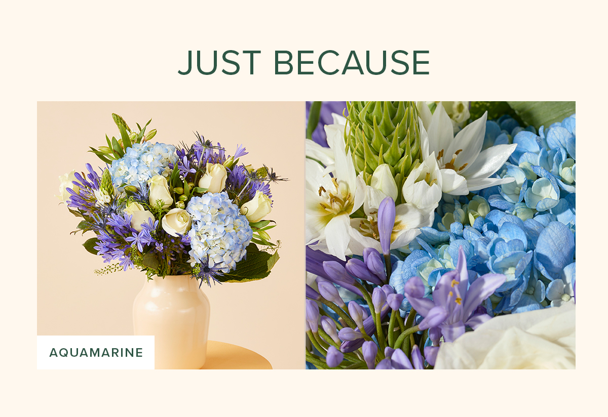 Shop Just Because. Featured Bouq: Aquamarine. 