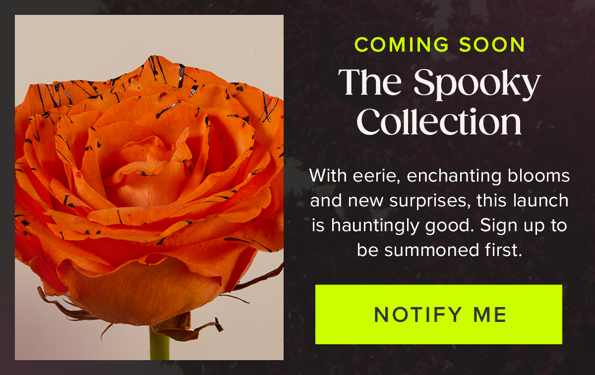 Coming Soon: The Spooky Collection! With eerie, enchanting blooms and new surprises, this launch is hauntingly good. Sign up to be summoned first. Notify Me. 