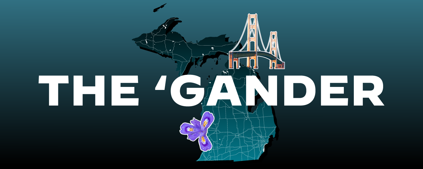 The 'Gander
