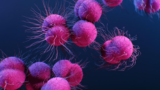 Rx by AI: Designing Tomorrow's Antibiotics