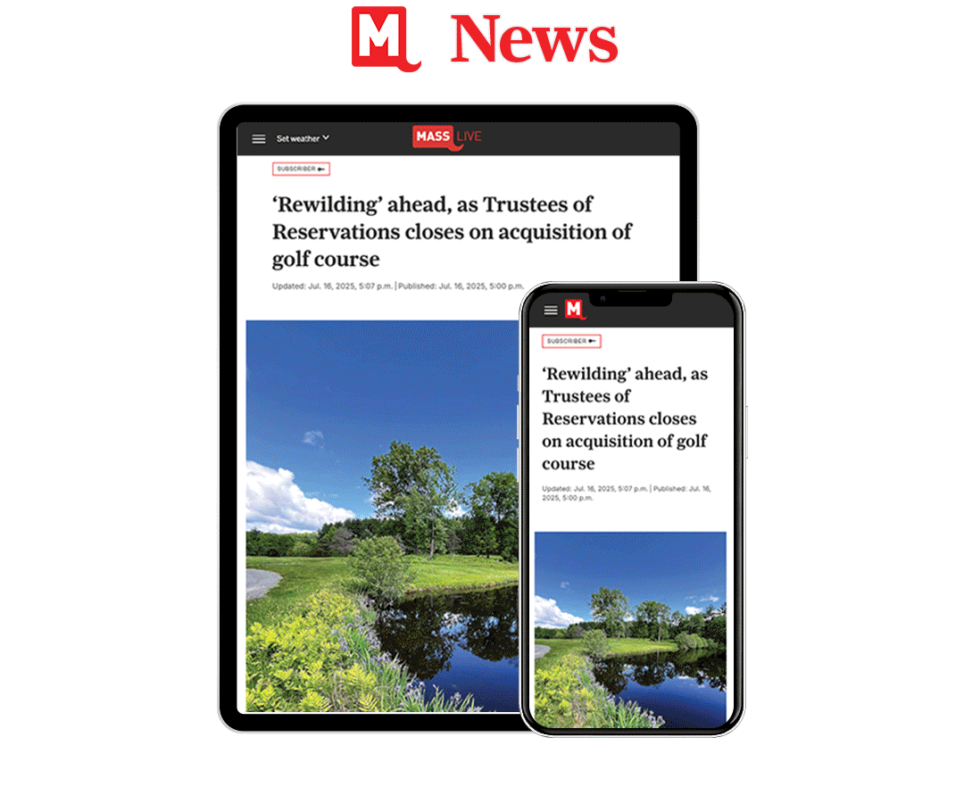 Images of digital website shown on tablet and phone