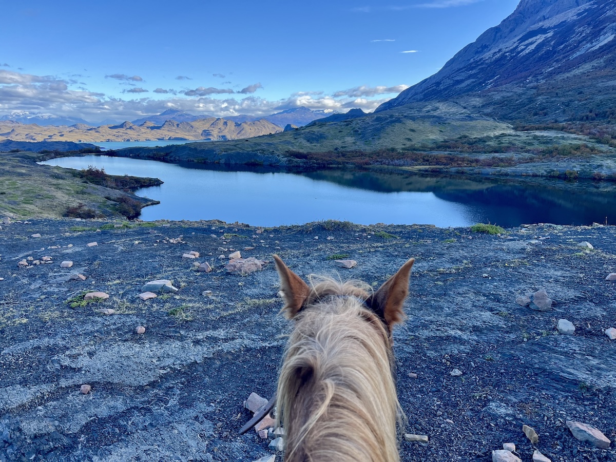 On a horseback ride, heading toward Nordenskjöld Lake.