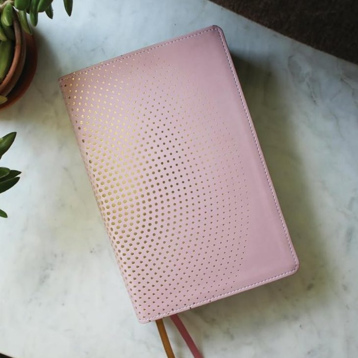 NIV, Clear Focus Bible, Leathersoft, Pink