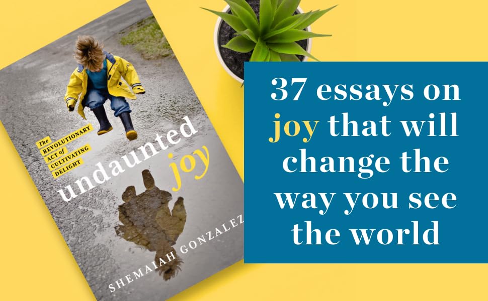37 essays on joy that will change the way you see the world