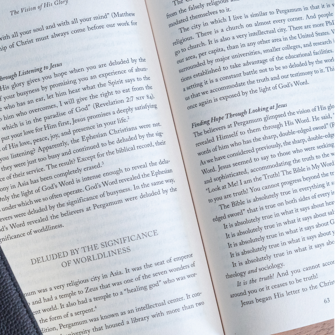 The Vision of His Glory, Revised and Updated: Finding Hope Through the Revelation of Jesus Christ