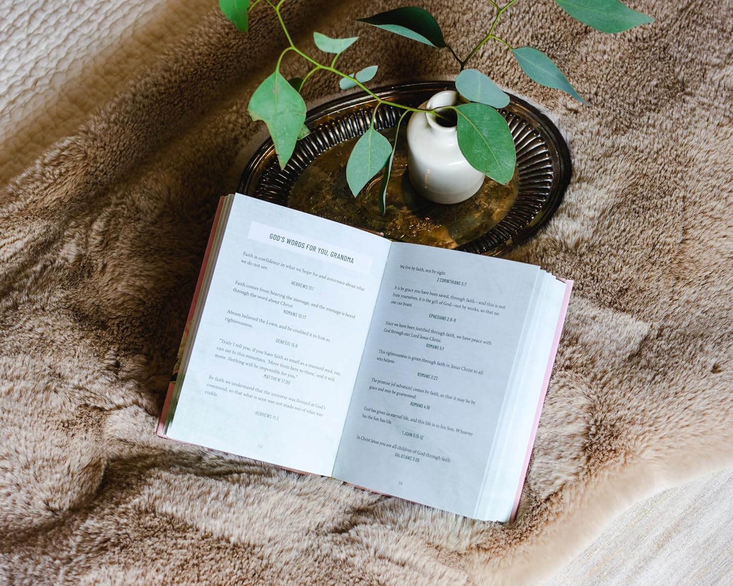 Devotions for Grandmas: A 40-Day Bible Devotional to Encourage and Inspire Grandmothers