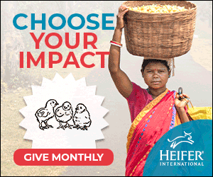 Give monthly to Heifer International and help women like Dulaari.