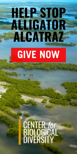 Center for Biological Diversity