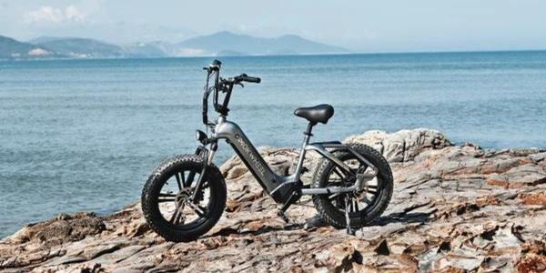Mokwheel Basalt: World's First Power Station Ebike
