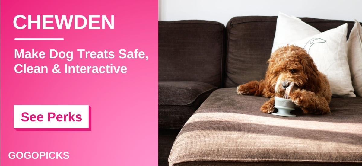CHEWDEN: Elevate Your Dog's Favourite Chew — See Perks