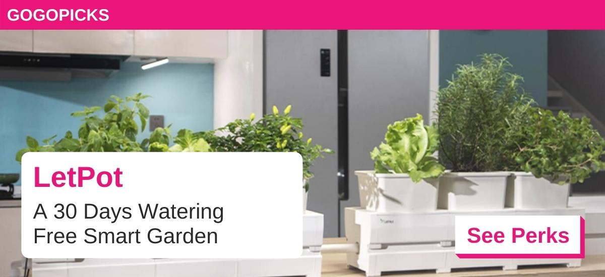 LetPot, A 30 Days Watering Free Smart Garden — See Perks