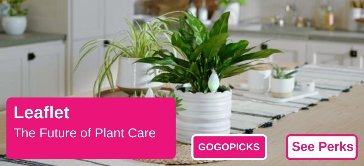 Leaflet: The Future of Plant Care — See Perks