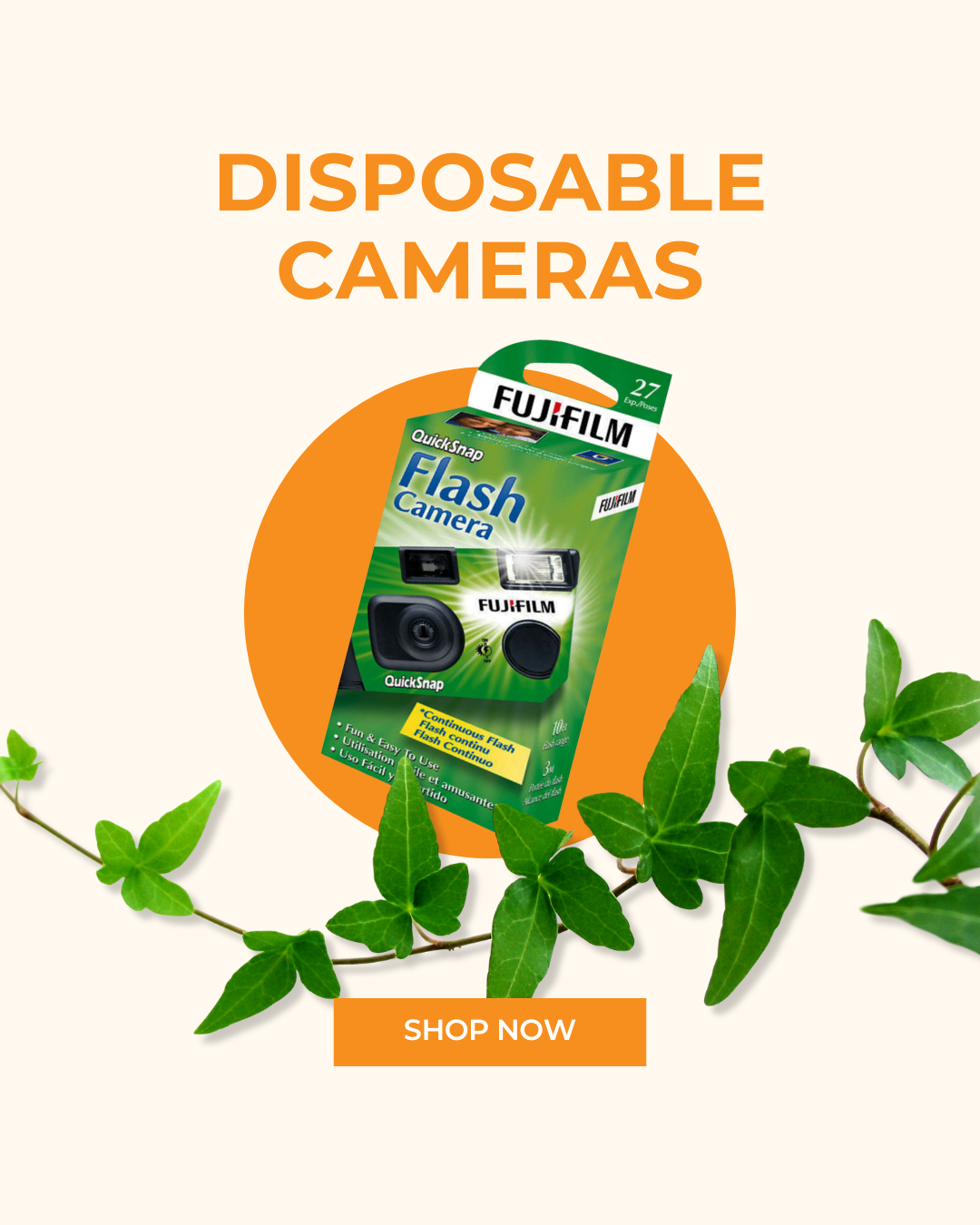 Disposable Cameras