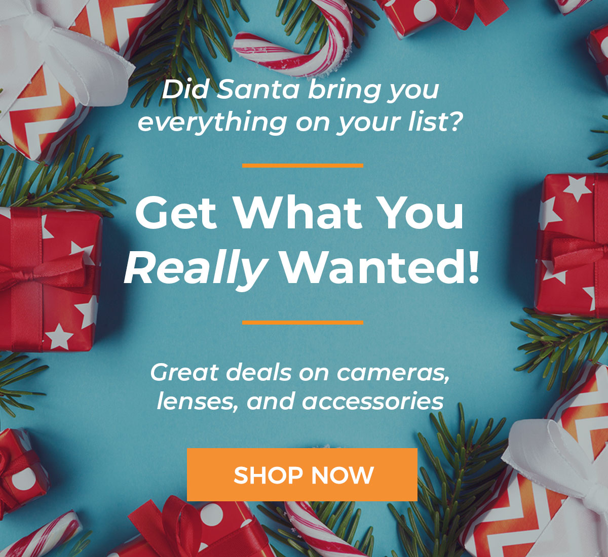 Get What You Really Wanted!