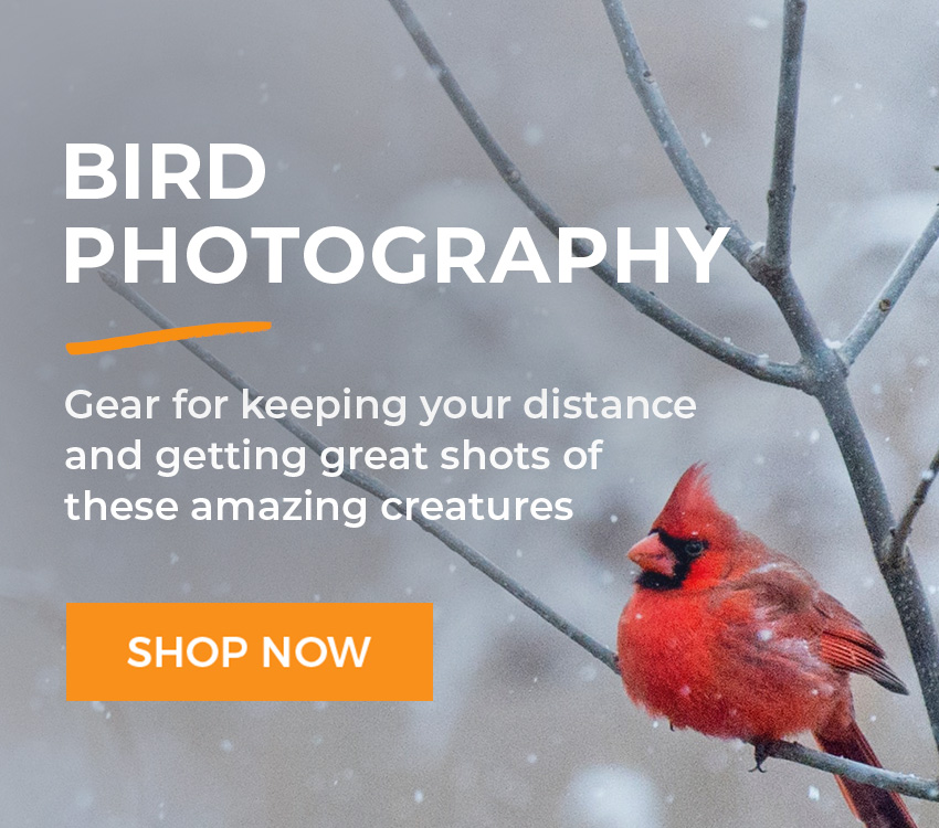 Bird Photography Gear & Accessories