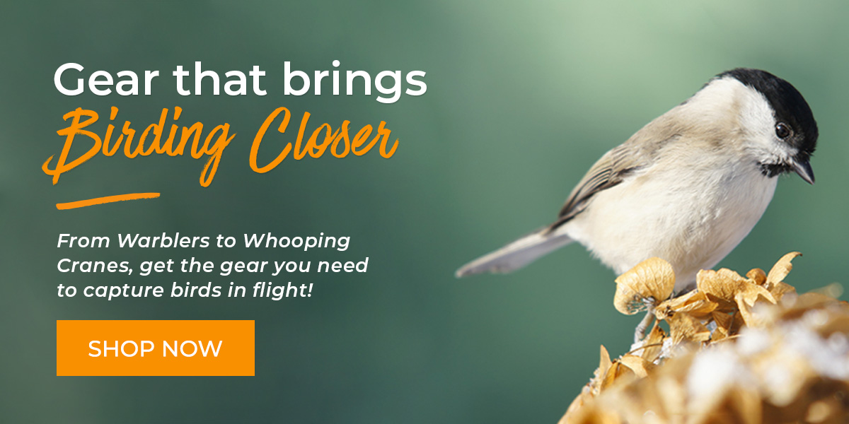 Gear that brings Birding Closer