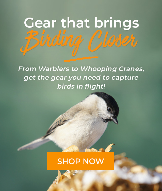 Gear that brings Birding Closer