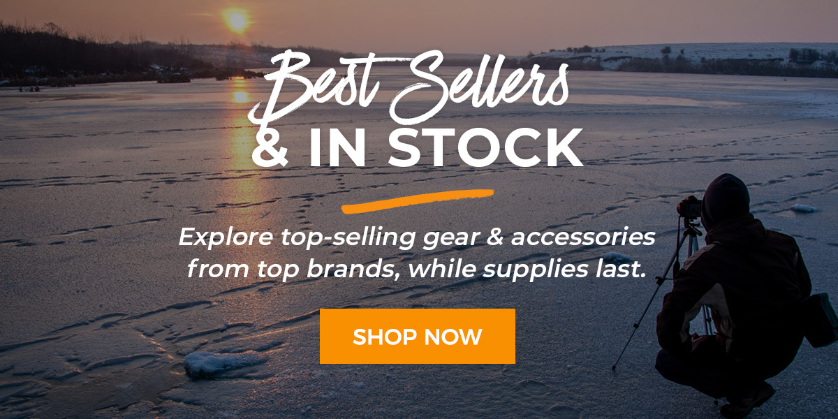 In-Stock & Best Sellers