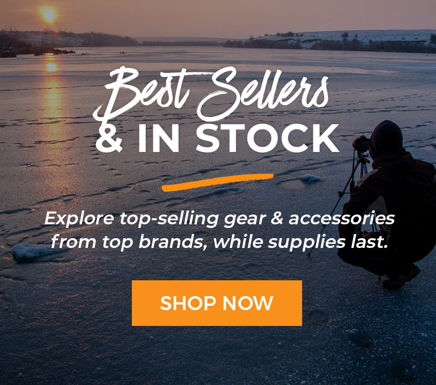 In-Stock & Best Sellers