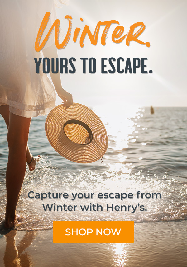 Winter: Yours to Escape