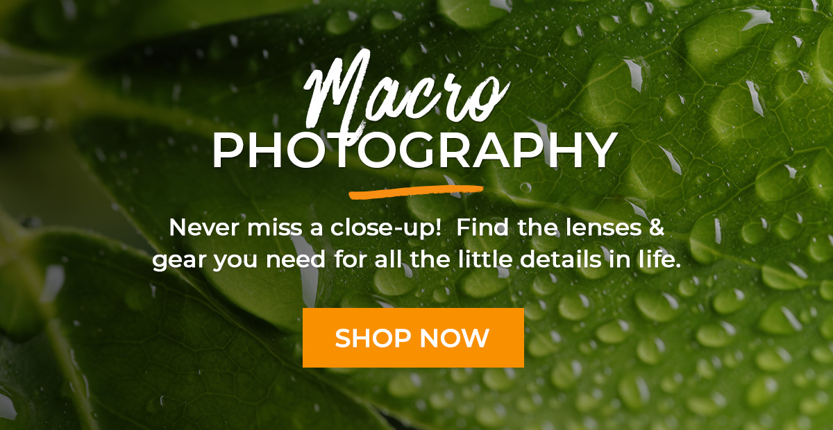 Macro Photography