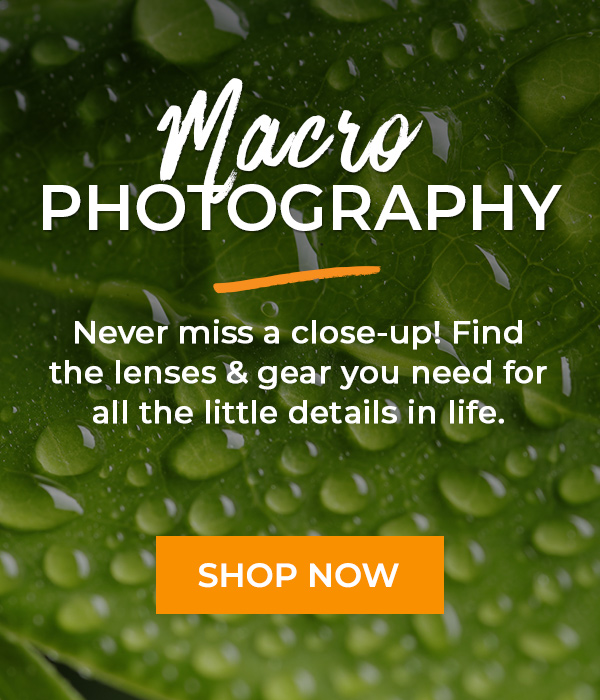 Macro Photography
