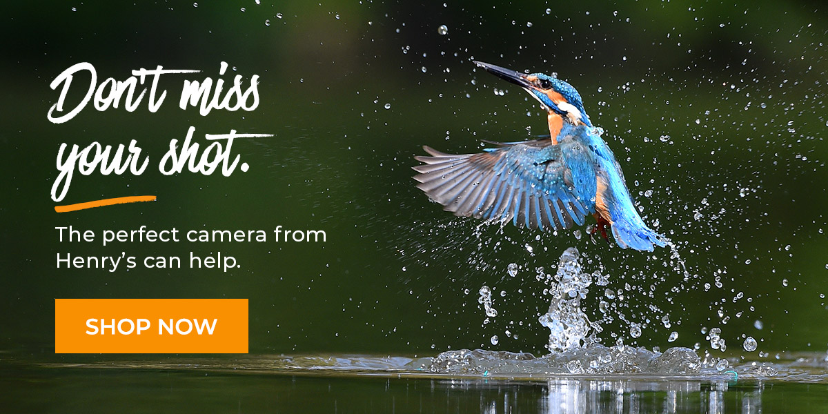 Don't miss your shot!