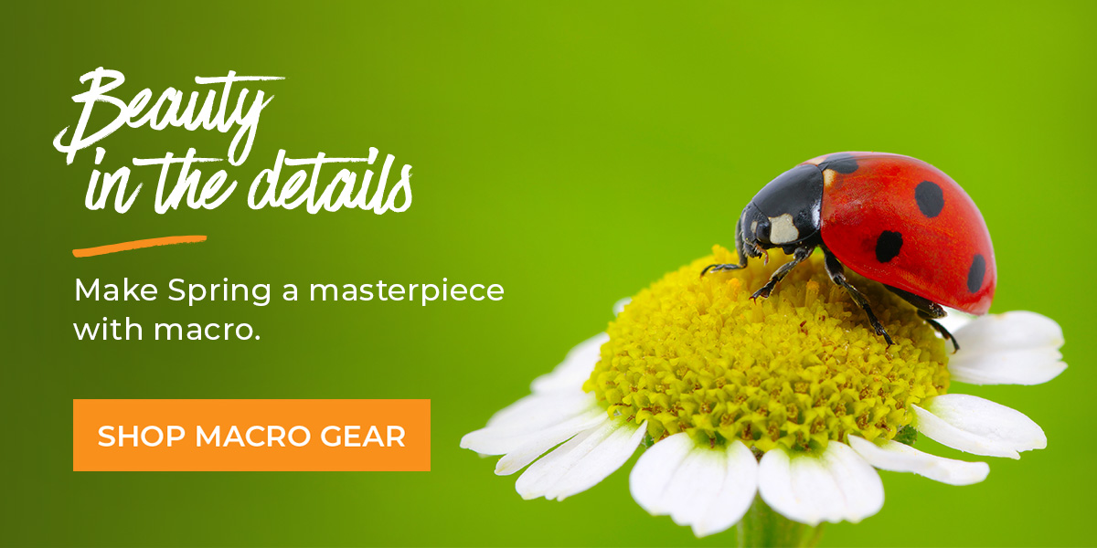 Explore Spring down to the tiniest detail 🌱 Henry's