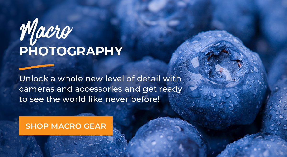 Macro Photography