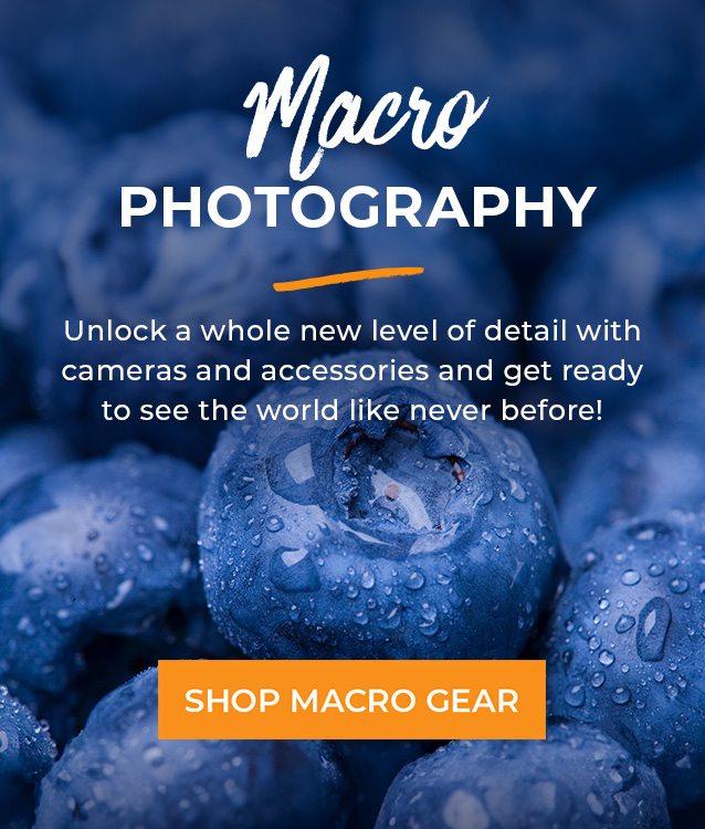 Macro Photography