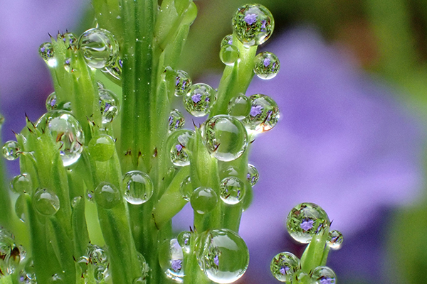 OM SYSTEM Tough TG-7 Camera