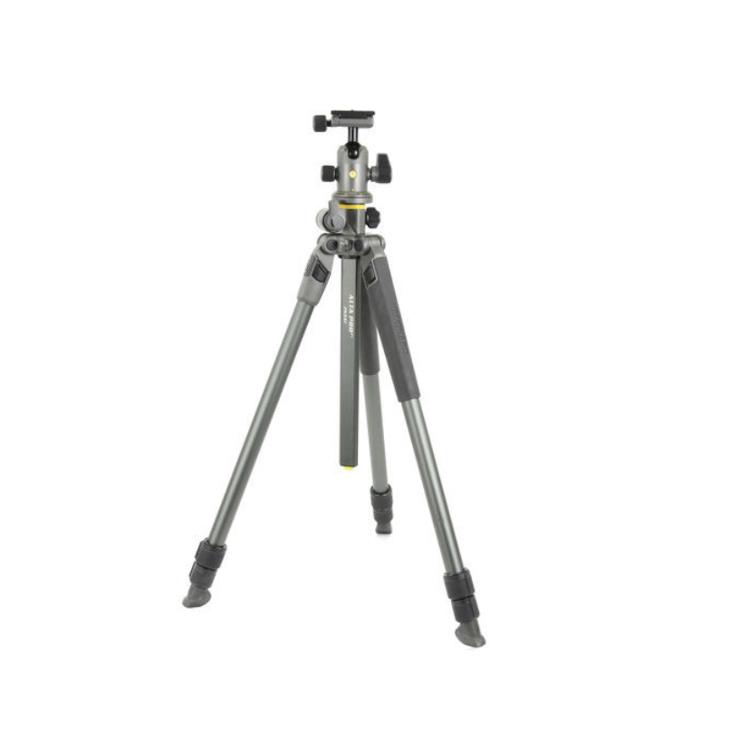 Vanguard Alta Pro 2+ 263AB with BH100 Head