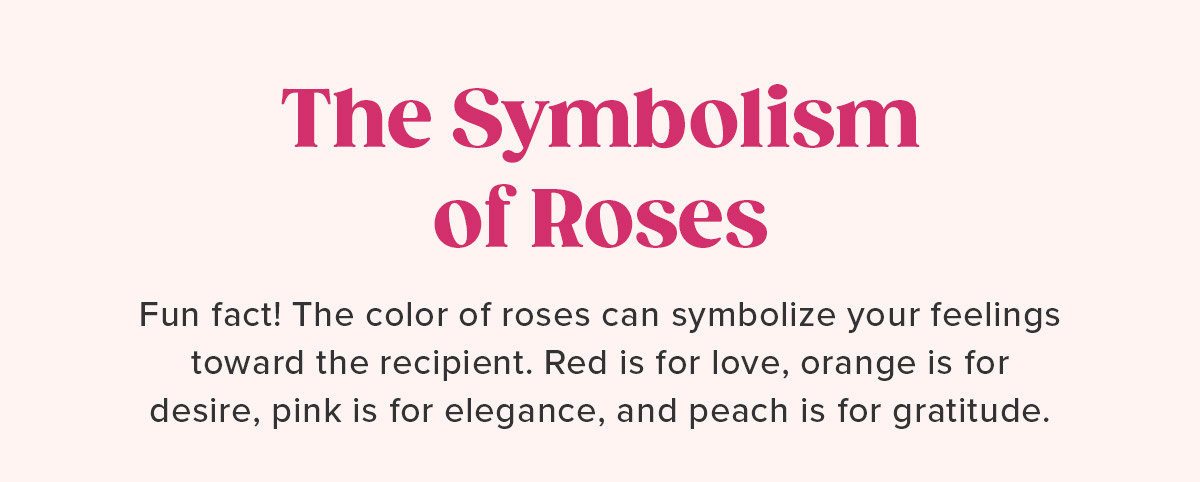 The Symbolism of Roses