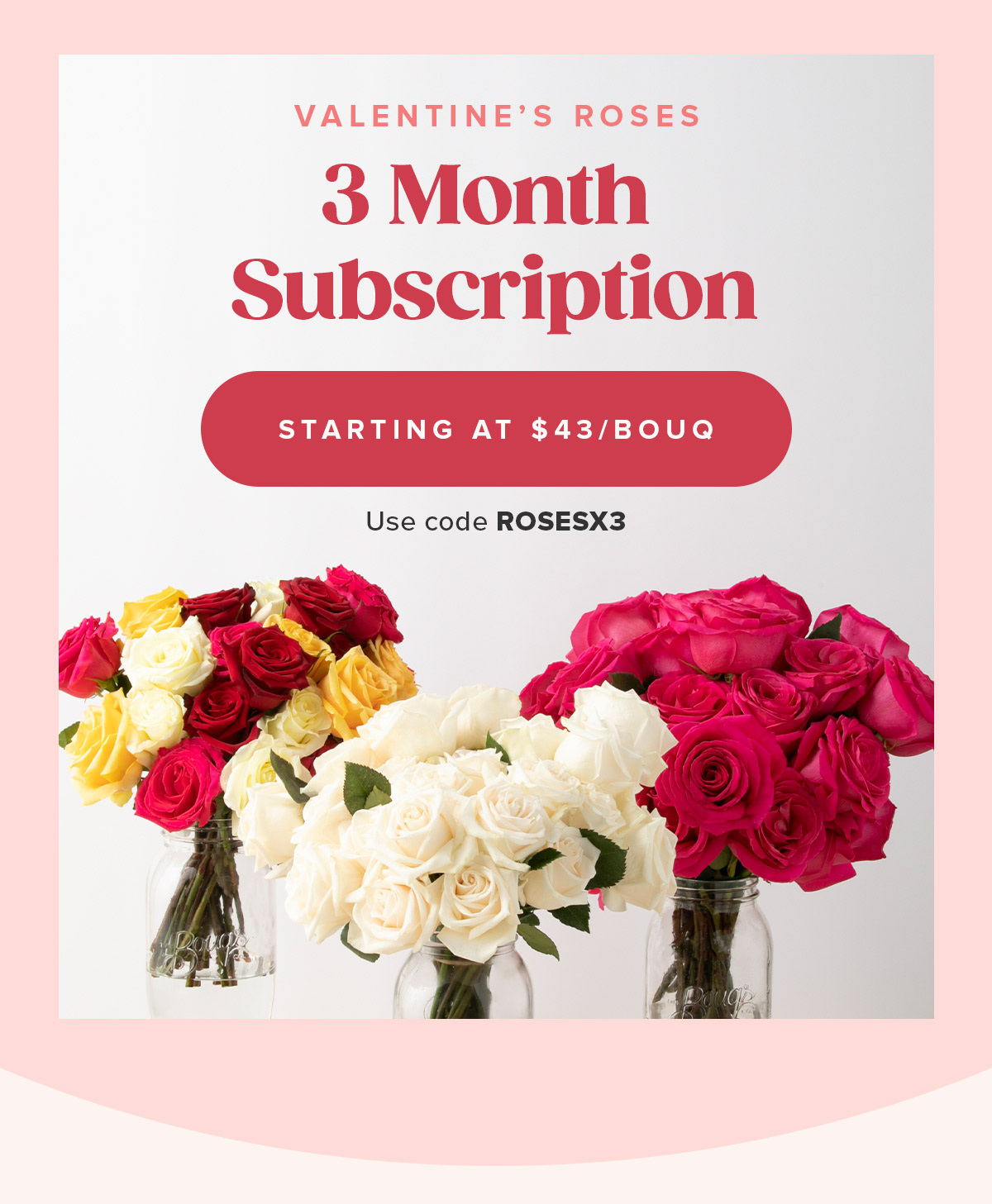 3 Month subscription