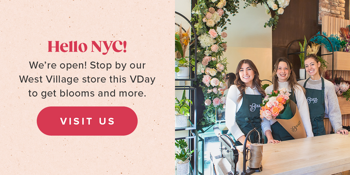 Visit us in NYC