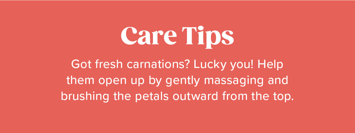 Care Tips