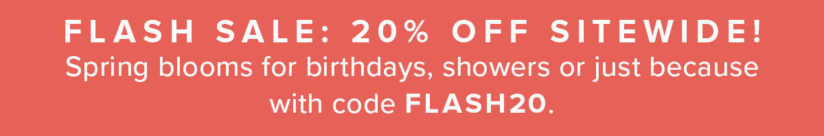 Flash Sale. Use code: FLASH20