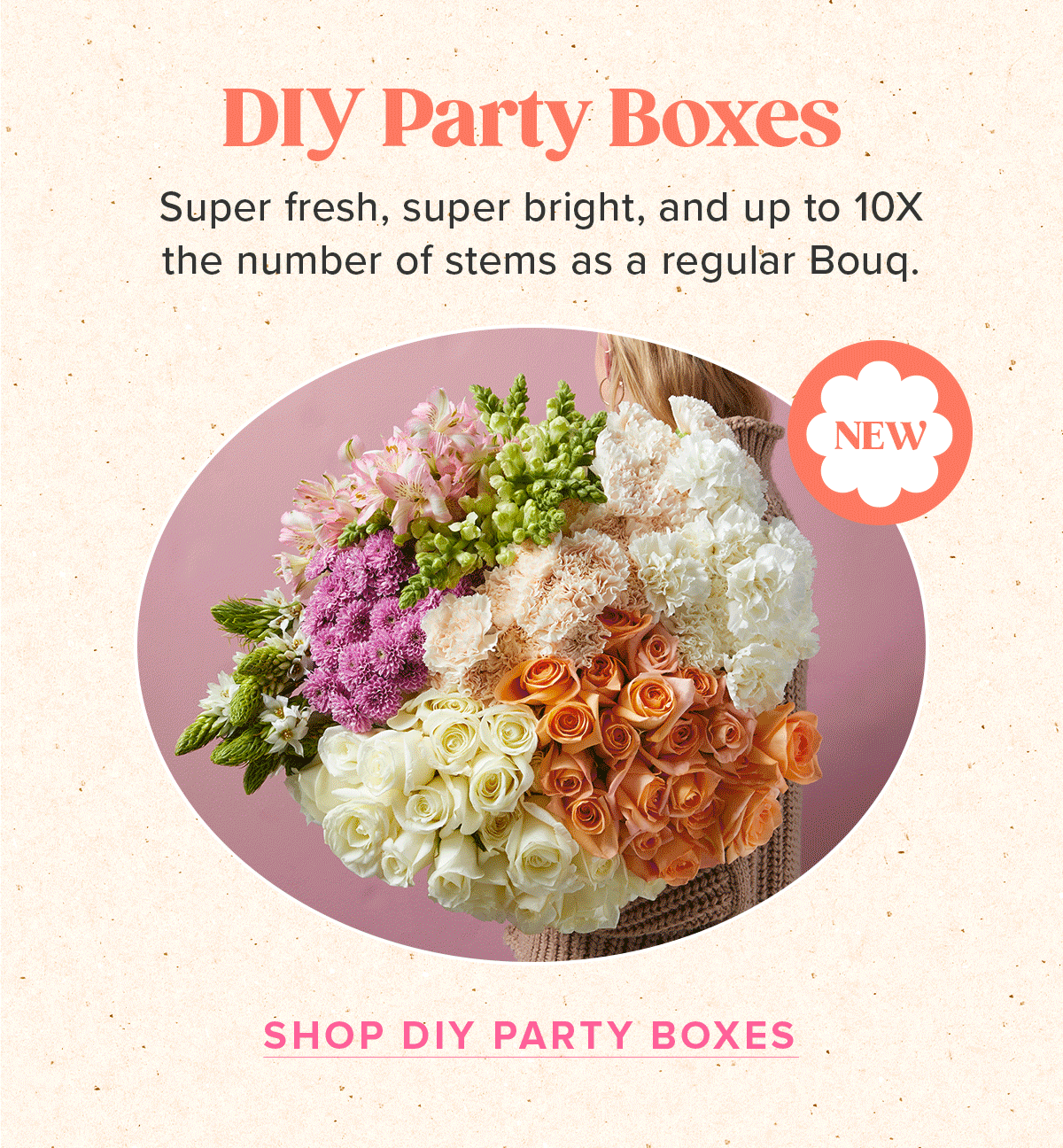 DIY Party Boxes