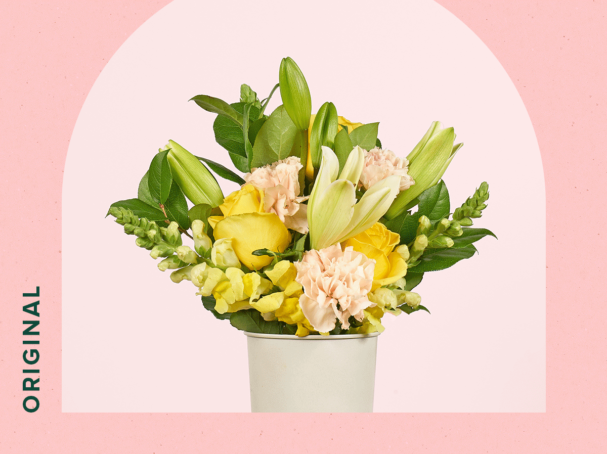 Shop The Sale. Use code: 2XBLOOMS