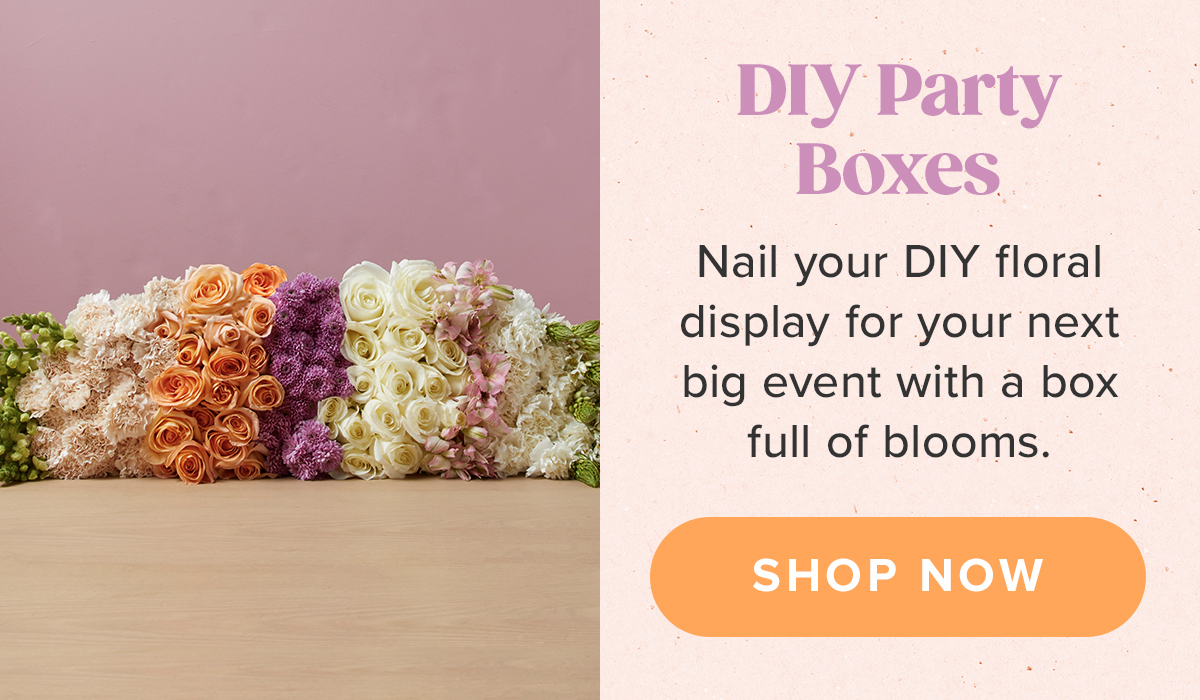 DIY Party Boxes