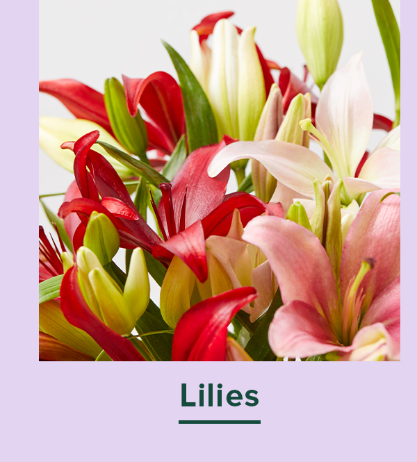 Lilies