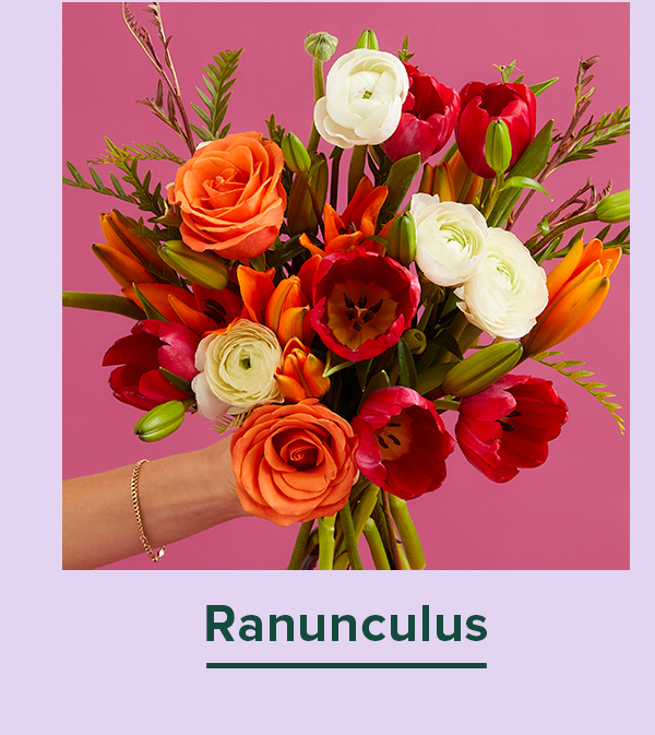 Ranunculus