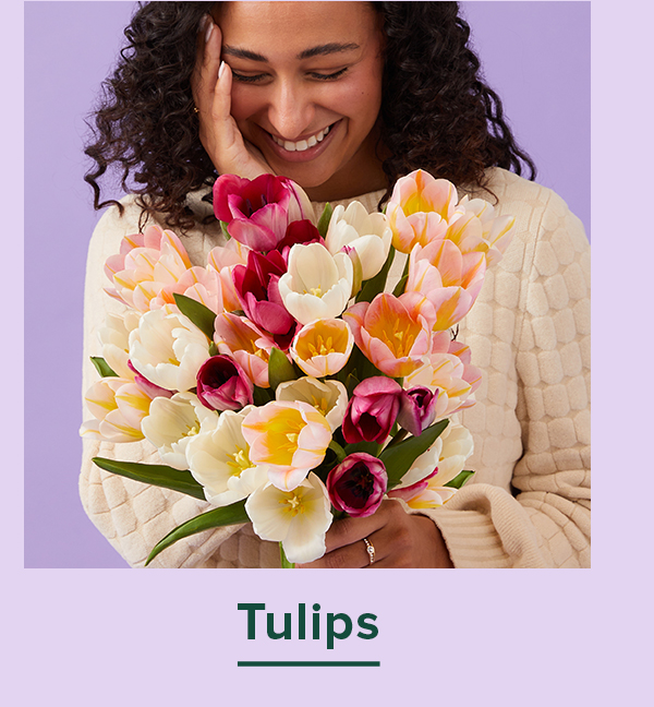 Tulips