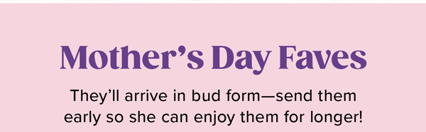 Mother's Day Faves They'll arrive in bud form-send them early so she can enjoy them for longer! Mother's Day Faves They'll arrive in bud form-send them early so she can enjoy them for longer!