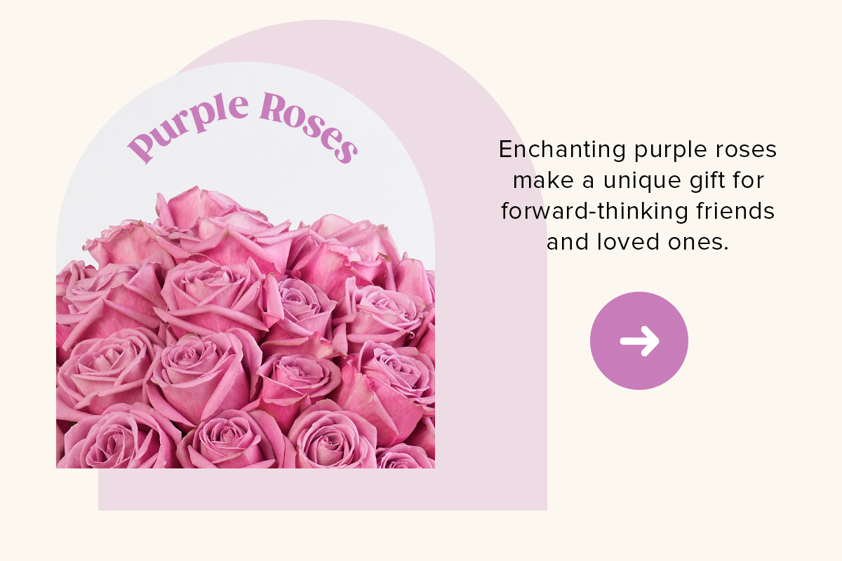 Purple Roses