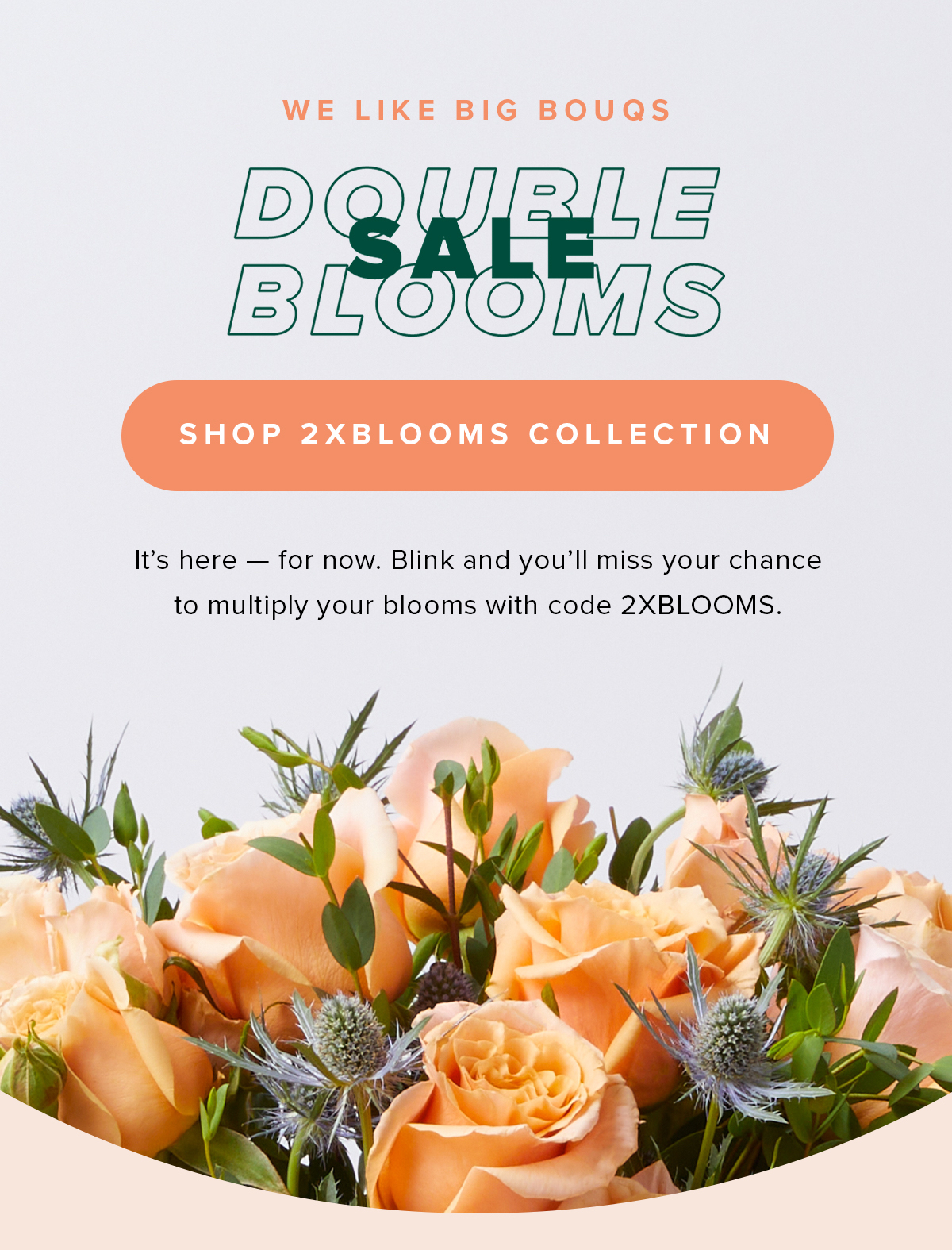 Shop 2XBlooms Collection
